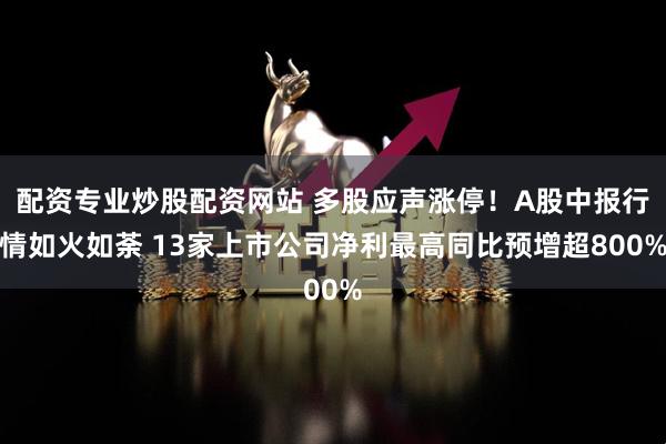 配资专业炒股配资网站 多股应声涨停！A股中报行情如火如荼 13家上市公司净利最高同比预增超800%
